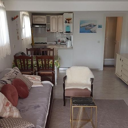 Apartment Branka Labin  Zewnętrze zdjęcie